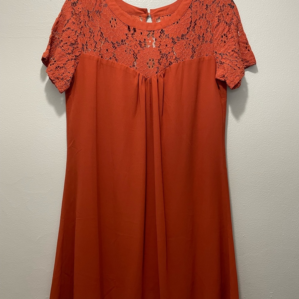 Vanberfia Rust Colored Swing Dress, Lined